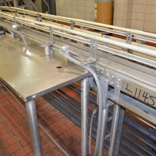 3 1/4 in W x 50 ft L Plastic Table Top Transfer and Reject Conveyor Belt w/ S/S Frame