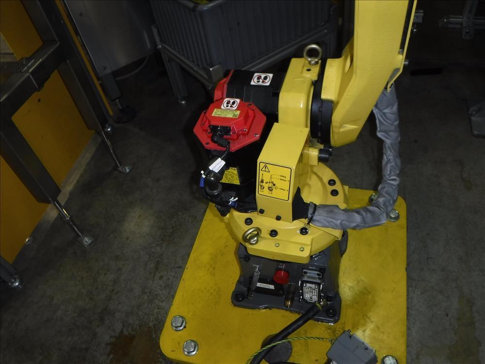 Fanuc Model M10iA (6) Axis Robotic Packing System