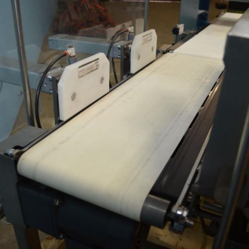 Loma Model Combo3000 S/S Combination Metal Detector Checkweigher