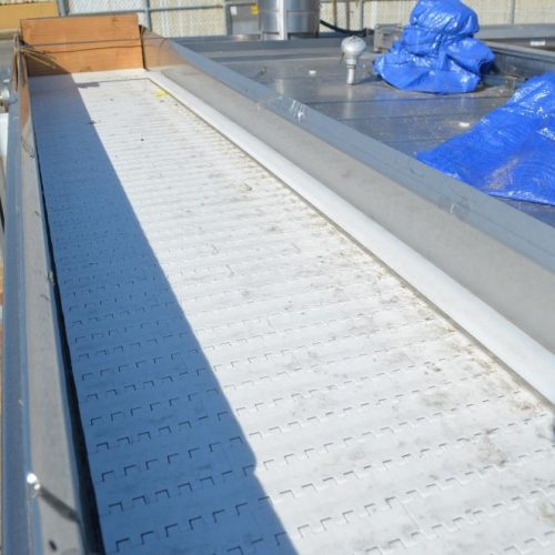 12 in W x 185 in L (Approx). S/S Straight Powered Plastic Interlocking Chain Conveyor