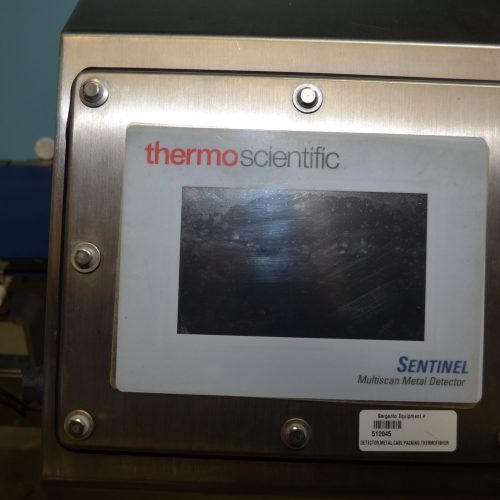 Thermo Scientific Sentinel S/S 13 3/4  in W x 4 1/2 in H Aperture Metal Detector
