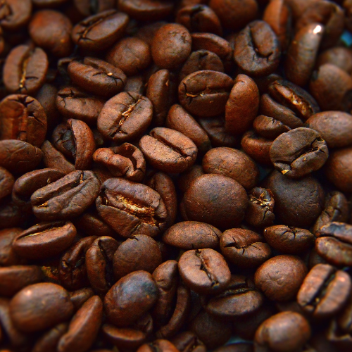 Coffee Roastery Auction – Whole Plant Liquidation